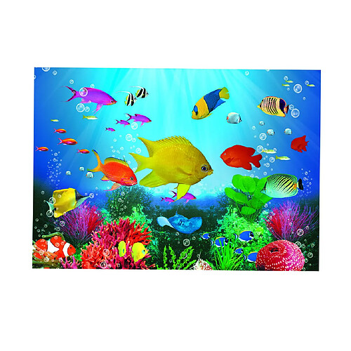 Aquarium 3D Fond Autocollant Décoration De Mur De Réservoir