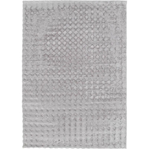 Zandiara Tapis 200x280 cm FJORD Gris