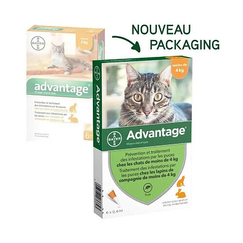 ADVANTAGE 40 - 6 pipettes antiparasitaires - Pour chat et lapin de moins de 4kg