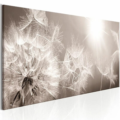 Paris Prix Tableau Imprimé Summer Dandelions 40 x 120 cm