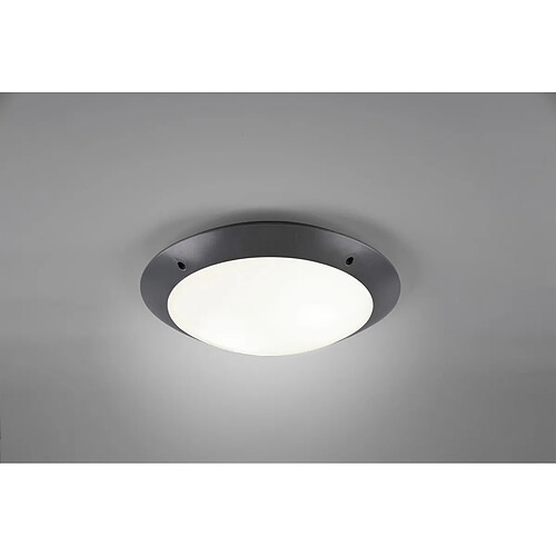 Plafonnier Camaro Moderne à 2 Lumières Anthracite IP54