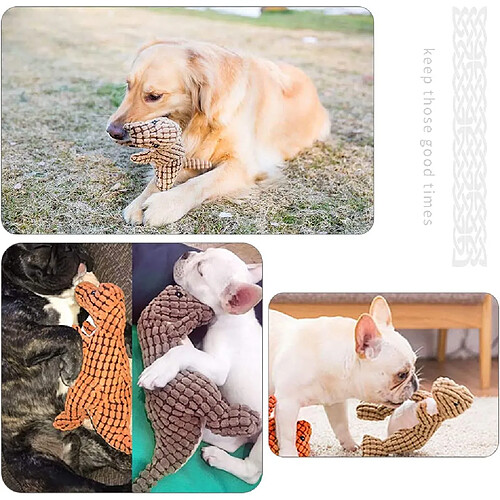 Jouet en peluche pour chien en velours côtelé durable avec couineur en plastique en forme de dinosaure (orange)