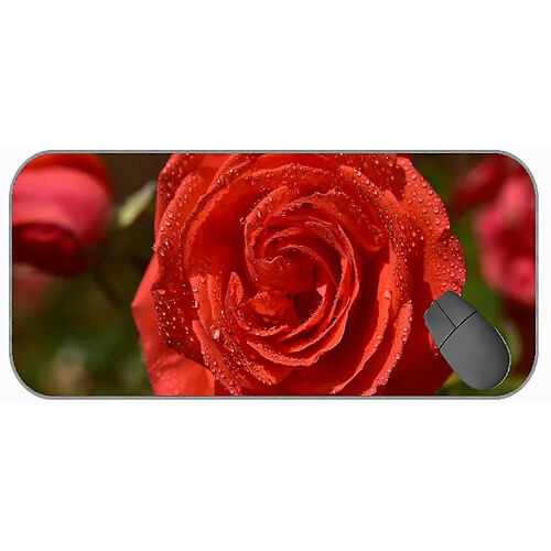 Universal (750x300x3) Tampon de souris de jeu avec bords cousus, Nature Macro Rose Flower sans glissement Rubber Base