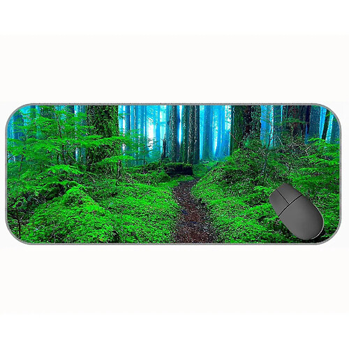 Universal (750x300x3) Grande souris avec un tissu à texture premium, pad de souris en caoutchouc de chemin de forêt de brouillard