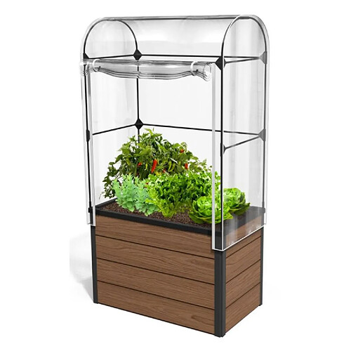 Keter Pot de fleur avec serre Ketter pour légumes et fleurs de jardin 99 x 58 x 185 cm Marron