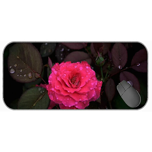 Universal (750x300x3) Grand tampon de souris de jeu avec couture de bord, nature, rose, Flo