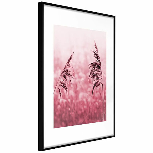 Paris Prix Affiche Murale Encadrée Amaranth Meadow 30 x 45 cm Noir