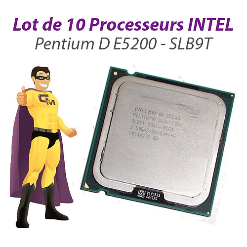 Lot x10 Processeurs CPU Intel Pentium Dual Core E5200 2.5Ghz 800Mhz LGA775 SLB9T · Occasion