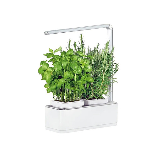 Jardinice Jardinière avec lampe led intégrée Mini potager.