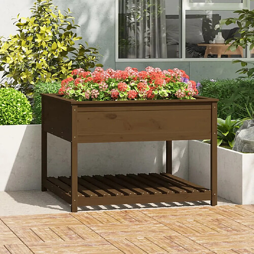 vidaXL Jardinière et étagère Marron miel 111,5x111,5x81 cm Bois de pin