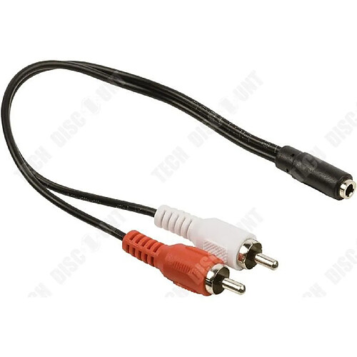 Tech Discount TD® Câble audio-RCA à deux mâles AV-APM-Câble 419004 Adaptateur 2 RCA male-Jack 3.5 mm femelle-cable et connectique-image-son