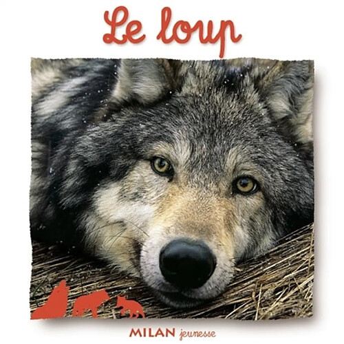 Le loup · Occasion