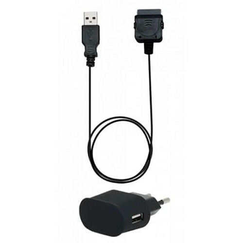 Blueway Mini chargeur de voyage 1A pour iPhone 3G/3GS/4/4S et iPod Touch Noir