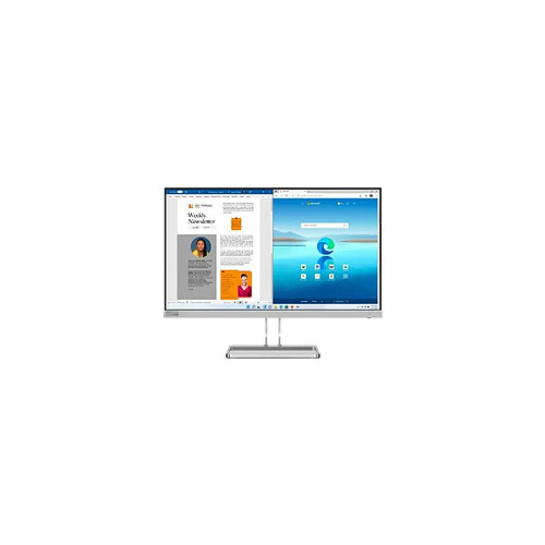 Ecran PC Lenovo L27i 40 27" Full HD Gris