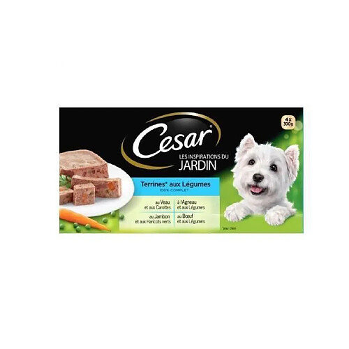 César Barquettes en terrine 4 x 300 g (x4)