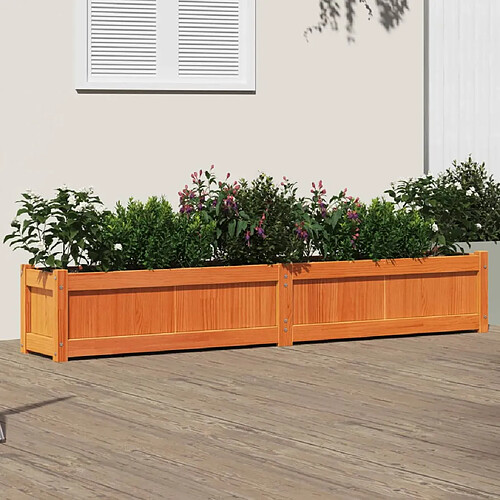 vidaXL Jardinière cire marron 180x31x31 cm bois de pin massif