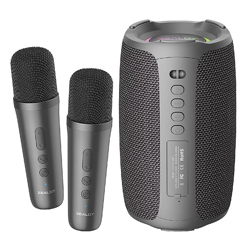 Yonis Enceinte Bluetooth Karaoke Sans Fil Puissante