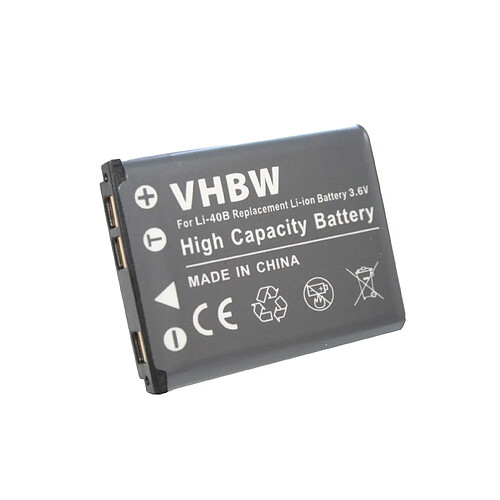 vhbw Batterie Li-Ion 500mAh (3.6V) compatible avec PENTAX remplace D-Li108