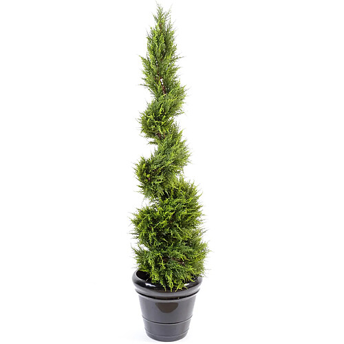 Pegane Plante artificielle haute gamme Spécial extérieur /Cyprès Artificiel Juniperus Fome Spirale - Dim : 160 x 55 cm