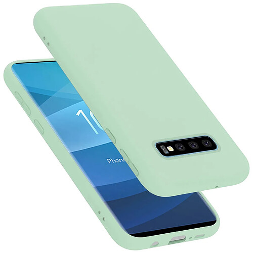 Cadorabo Coque Samsung Galaxy S10 PLUS Etui en Vert