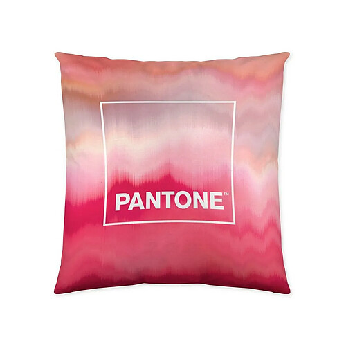 Housse de coussin Pantone Totem (50 x 50 cm)