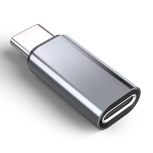 INF Adaptateur Lightning (femelle) vers USB-C (mâle), compatible avec iPhone 15 Grey