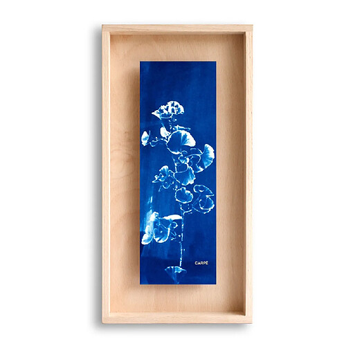 Swabdesign Cadre Carpë cyanotype Gingko 40x20cm