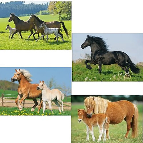 Schmidt Spiele Puzzle 26 et 48 pièces - Coffret 4 puzzles : Chevaux