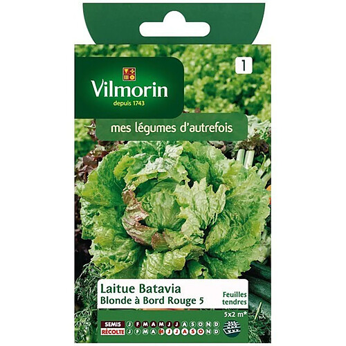 Vilmorin Sachet graines Laitue Batavia Blonde à bord rouge 5