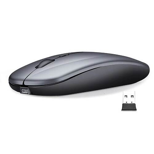 Souris sans fil grise avec récepteur 2,4 GHz, souris optique réglable sans fil, souris rechargeable