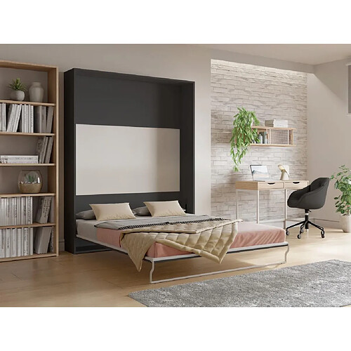 Vente-Unique Lit escamotable 160 x 200 cm - Ouverture verticale manuelle - Anthracite et naturel - MALINA II