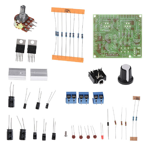 Module TDA2030A Alimentation Amplificateur Audio Conseil Réglable 12V DIY 2.0