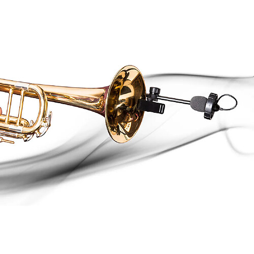 SB21 Lanen Sax et Brass Prodipe