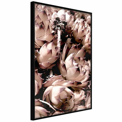 Paris Prix Affiche Murale Encadrée Autumnal Flowers 20 x 30 cm Noir