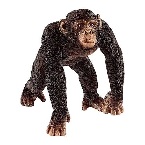 Schleich Figurine Chimpanzé Mâle Wildlife des Forêts Tropicales d'Afrique Marron