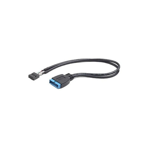 Câble Interne USB 2.0 vers USB 3.0 GEMBIRD CC-U3U2-01 (3 m) Noir