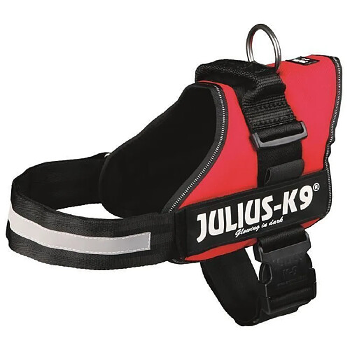 Julius K9 Power 1 Rouge