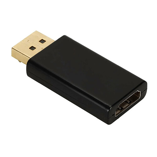 Digitus ENTER-WEB Adaptateur DisplayPort male vers HDMI femelle