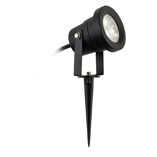 Luminaire Center Piquet de jardin Hayes Aluminium moulé Noir 24,5 Cm