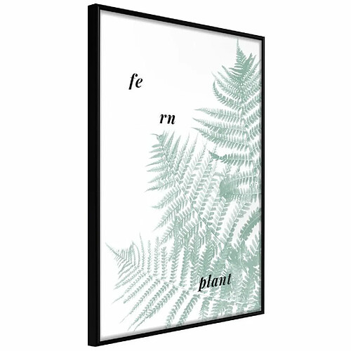 Paris Prix Affiche Murale Encadrée Pale Green Fern 30 x 45 cm Noir