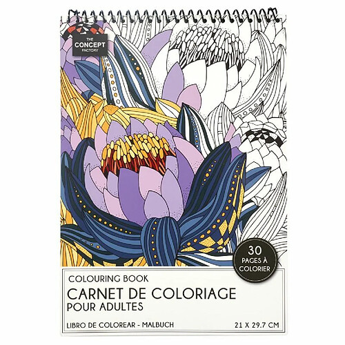 Paris Prix Livre de Coloriage 30 Pages Adulte 21x29cm Blanc