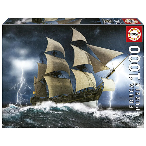 Educa Borras Puzzle 1000 pcs - Tempete parfaite