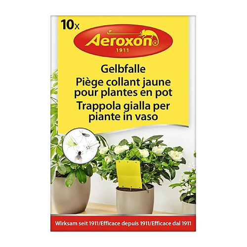 Astuceo Lot de 10 pièges collants pour plantes