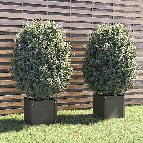 vidaXL Jardinières d'extérieur 2 pcs Gris 40x40x40 cm Bois de pin