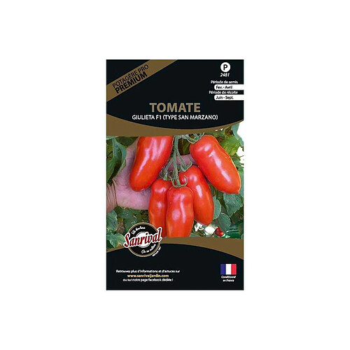 Sanrival Graines potagères premium tomate Giulieta