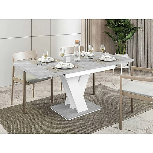 Bestmobilier Xandriel - table à manger extensible - gris et blanc - 4 à 6 personnes