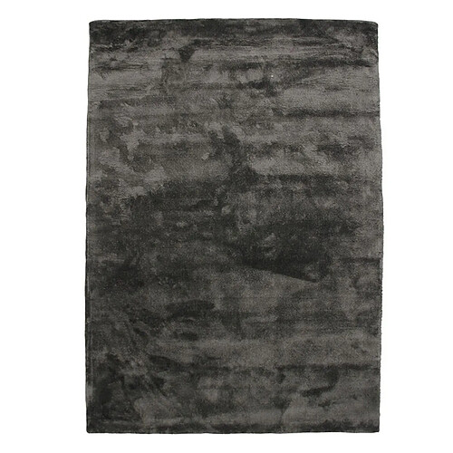 Thedecofactory ART SILK - Tapis en viscose prune 160x230