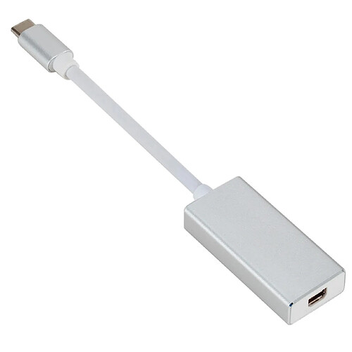 Wewoo Convertisseur USB-C / Type-C 3.1 Mâle à Mini DP Femelle HDLongueur 12cm Argent