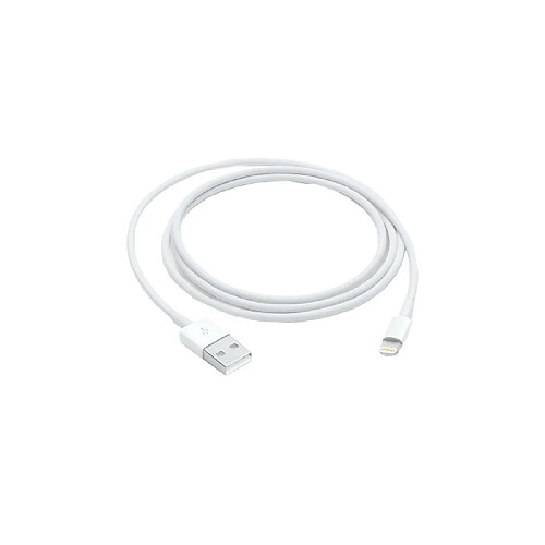 Apple Câble Lightning MD818ZM/A USB-A 2.0 1m Blanc