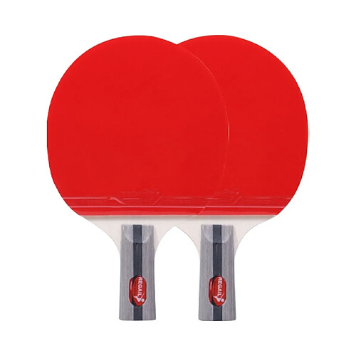 Wewoo REGAIL 8020 2 en 1 poignée courte Penhold Ping Pong Raquette + Ball Set pour la formation